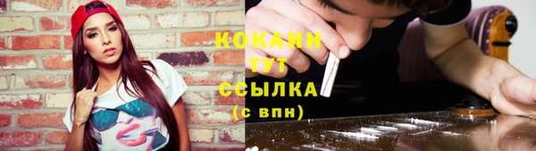 не бодяженный Арсеньев