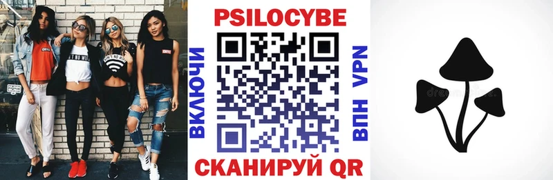 Галлюциногенные грибы Psilocybe  Дорогобуж 