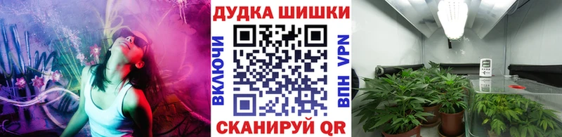 Бошки Шишки индика  где можно купить   Дорогобуж 